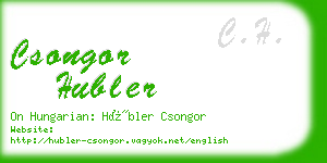 csongor hubler business card